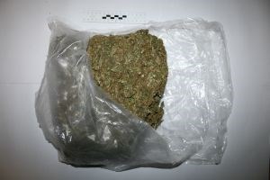 Slika /PU_SD/marihuana 22.11..jpg